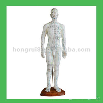 Chinese Human Acupuncture body Points 50cm Acupuncture Model